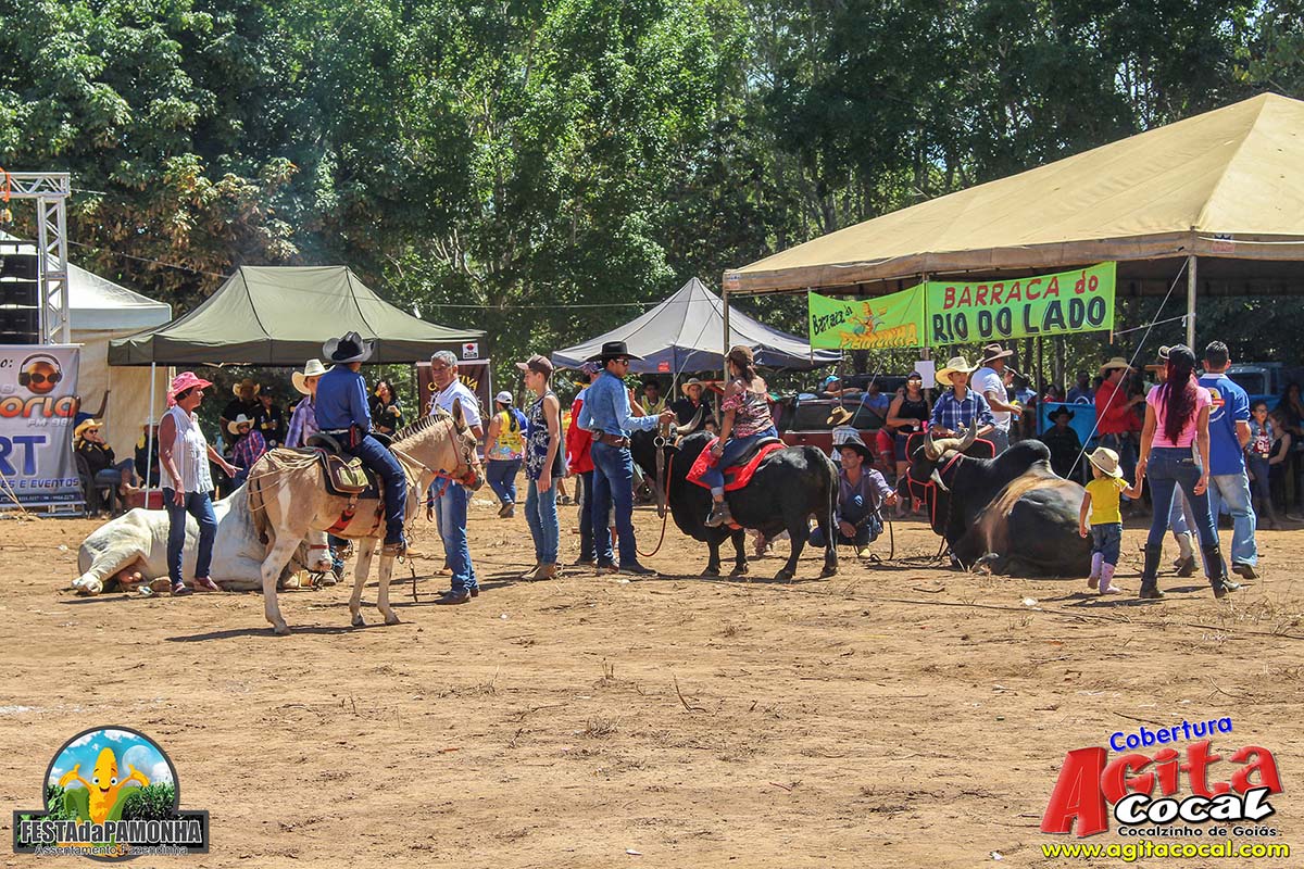 Festa da Pamonha (3 Dia)